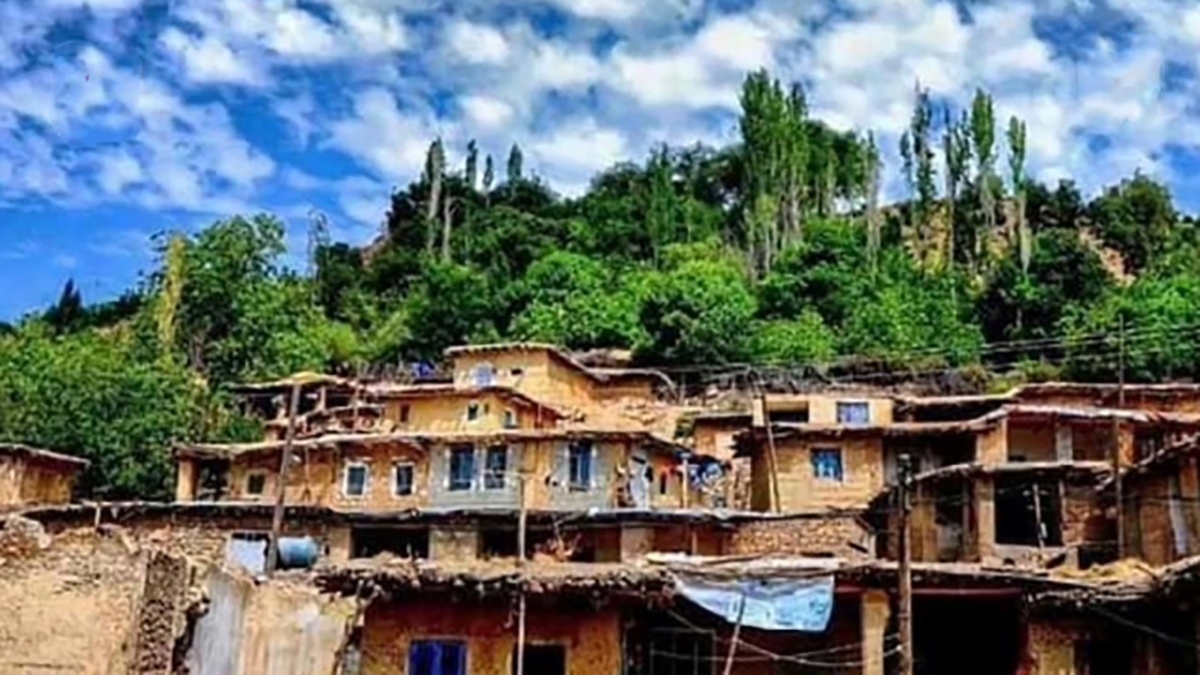 سفر به سبک بوم گردی + فیلم