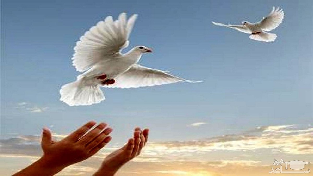 بدون تعارف با مادرانی که به خاطر مشکلات مالی، گرفتار و دربند شدند + فیلم