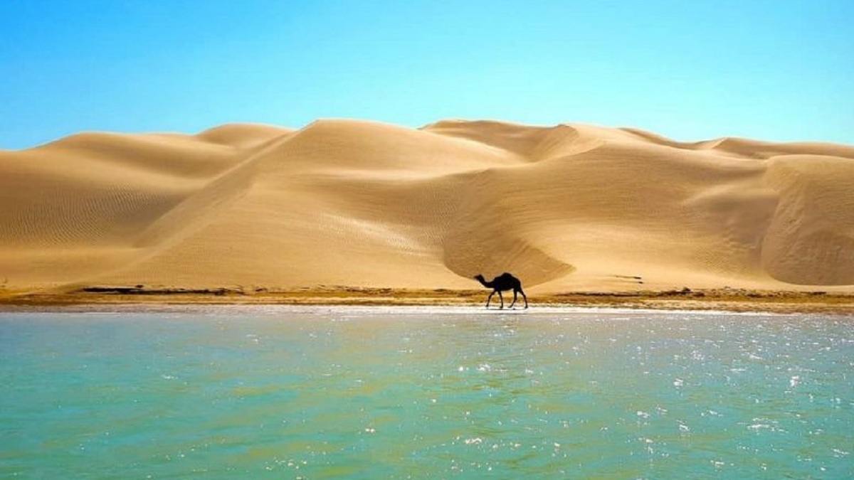 کلوت‌های زیبای بندر دیّر در بوشهر + فیلم