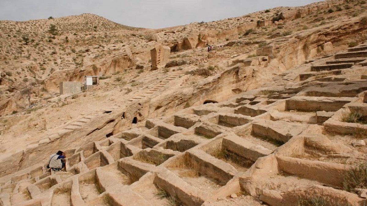 آشنایی با صنعت عبابافی در روستای کردوان بوشهر + فیلم