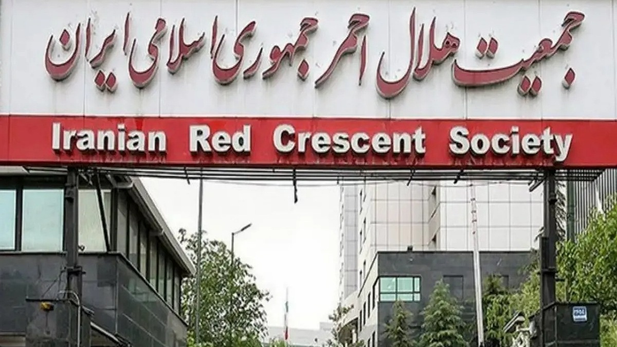 حاصل لجبازی خودرو با دوچرخه + فیلم