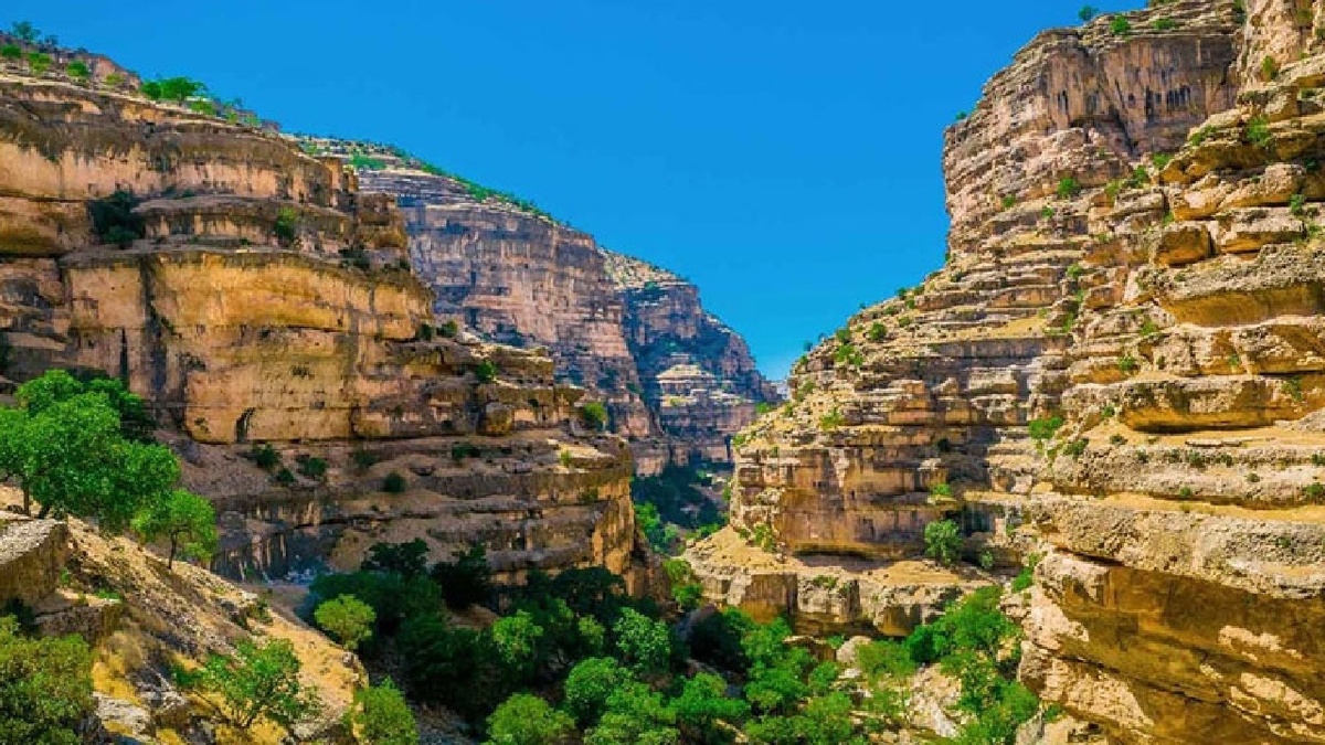 کاشان؛ شهر جهانی خانه + فیلم