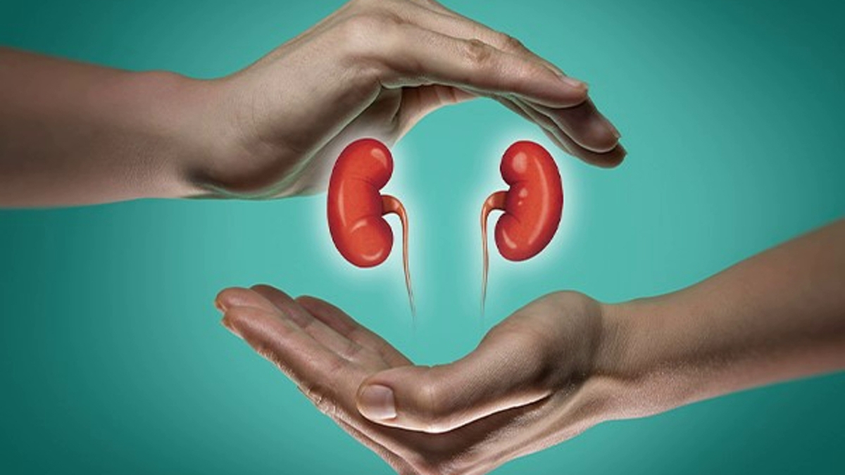 خواص گیاه خارخاسک چیست؟
