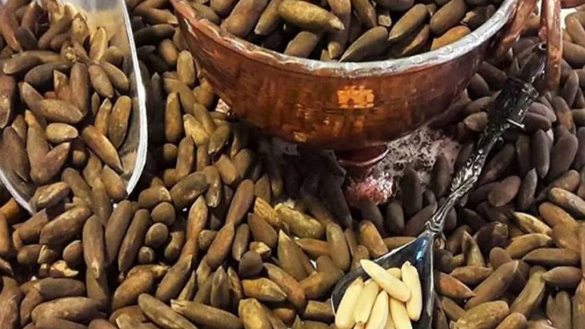 چاقاله بادام، میوه‌ای برای تقویت معده + فیلم