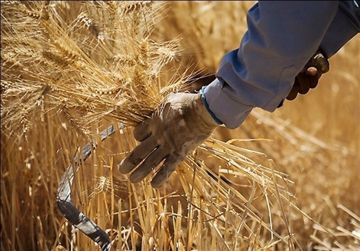 رسیدن صدای کشاورزان به صحن بهارستان + فیلم
