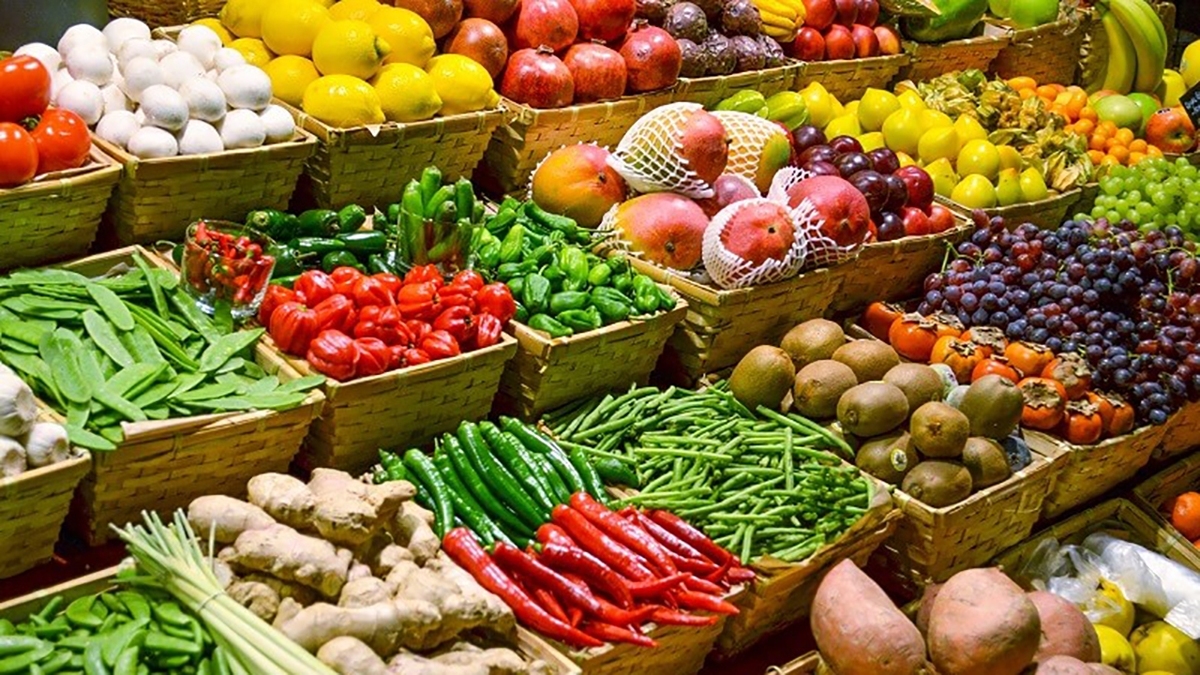 دستگاه مخصوص شخم زدن خاک قبل از کاشت + فیلم