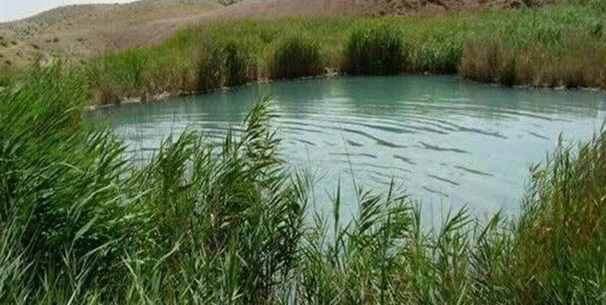 بهشت صخره‌نوردان در شهر پونتا + فیلم
