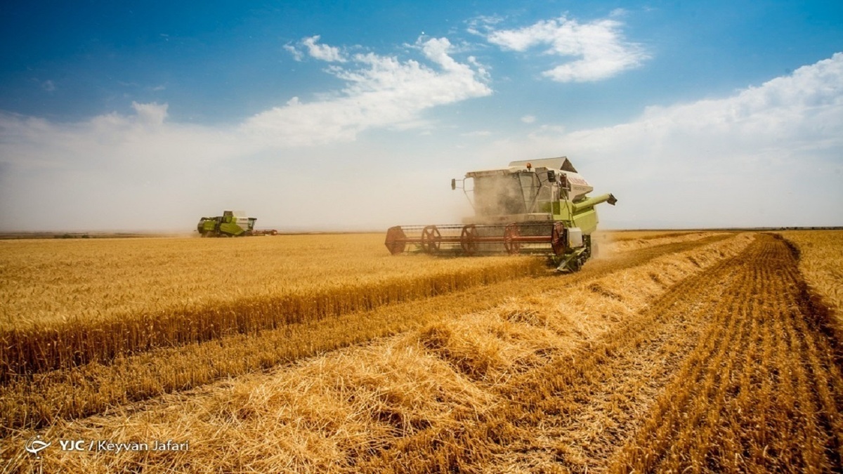 زمان برگزاری شورای قیمت‌گذاری کالا‌های اساسی از زبان رئیس کمیسیون کشاورزی مجلس + فیلم