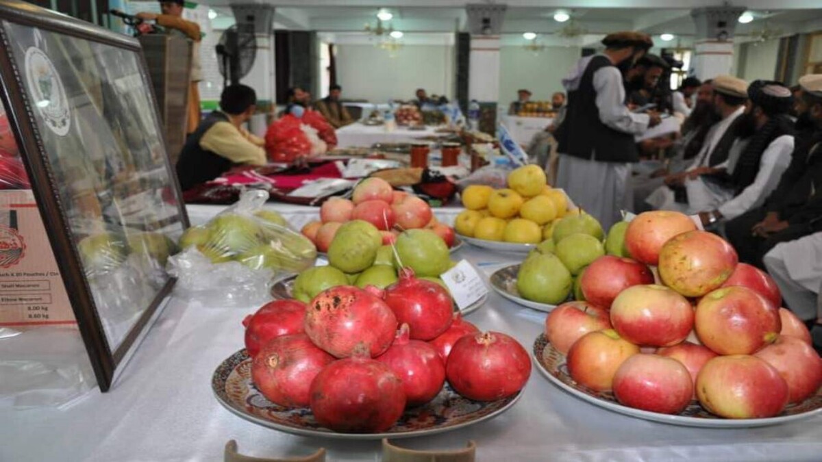 جشنواره‌ی انجیر