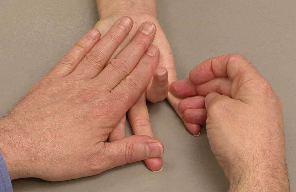 میوه‌هایی که به عنوان غذا برای بدن استفاده می‌شوند + فیلم