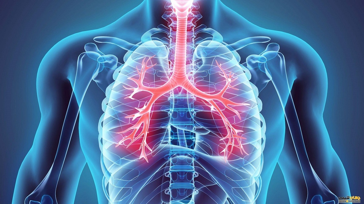 دلیل خطرناک بودن گاز منوکسید کربن + فیلم