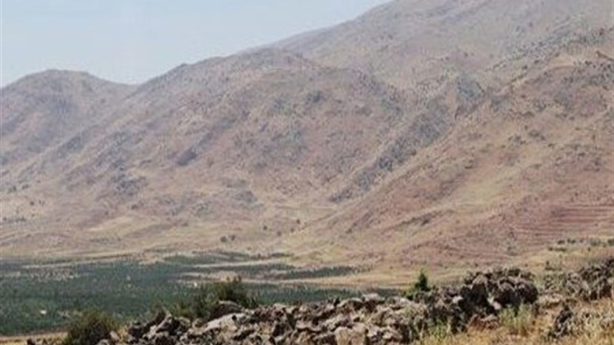 صوت لو رفته از نماینده حزب لیکود اسرائیل