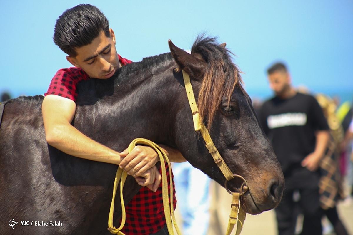سی و ششمین مسابقات زیبایی اسب اصیل در یزد