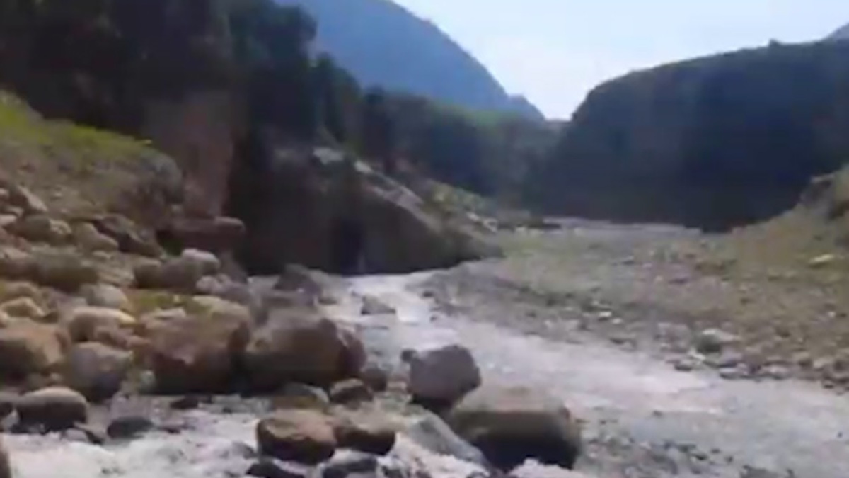 بیشه؛ بهشتی در دل زاگرس + فیلم