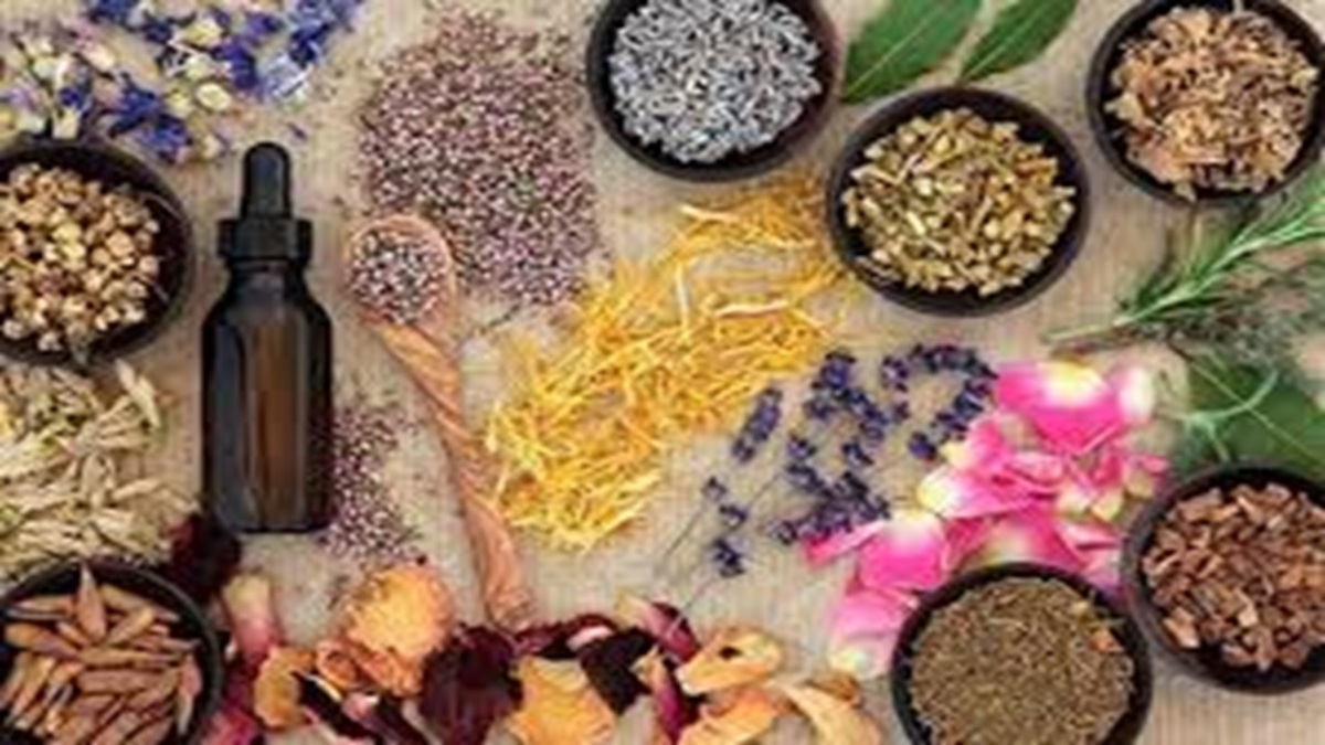 شیر گاو بهتر است یا شیر بز یا شیر گوسفند؟ + فیلم