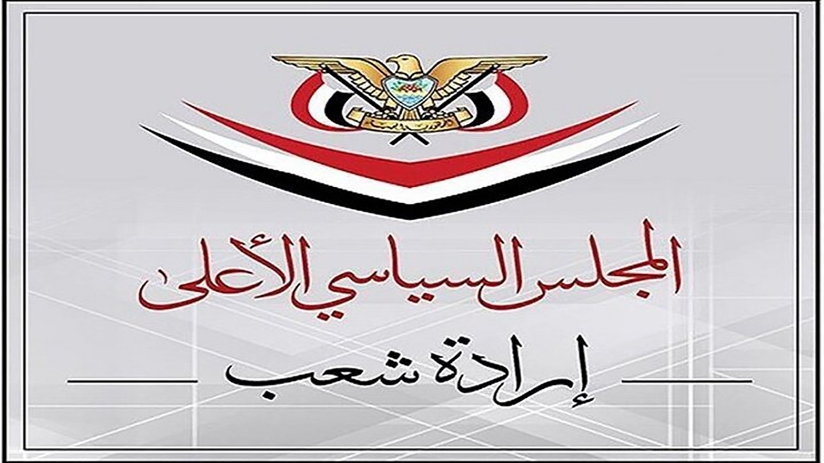 مقاومت مردم غزه باعث سربلندی محور مقاومت شد + فیلم