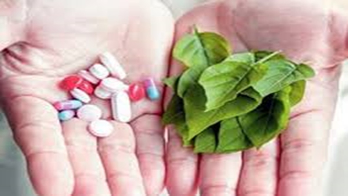 تولید گیاهان دارویی فرصتی برای تولید، اشتغال و رهایی از اقتصاد نفتی + فیلم
