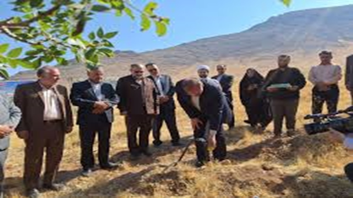 مشارکت مردمی در اجرای کاشت یک میلیارد درخت + فیلم