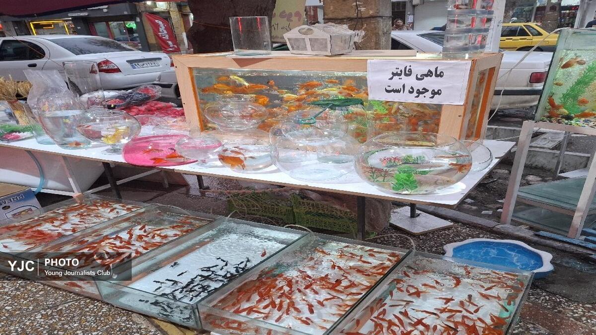 بازار لاستیک در مسیر ثبات + فیلم