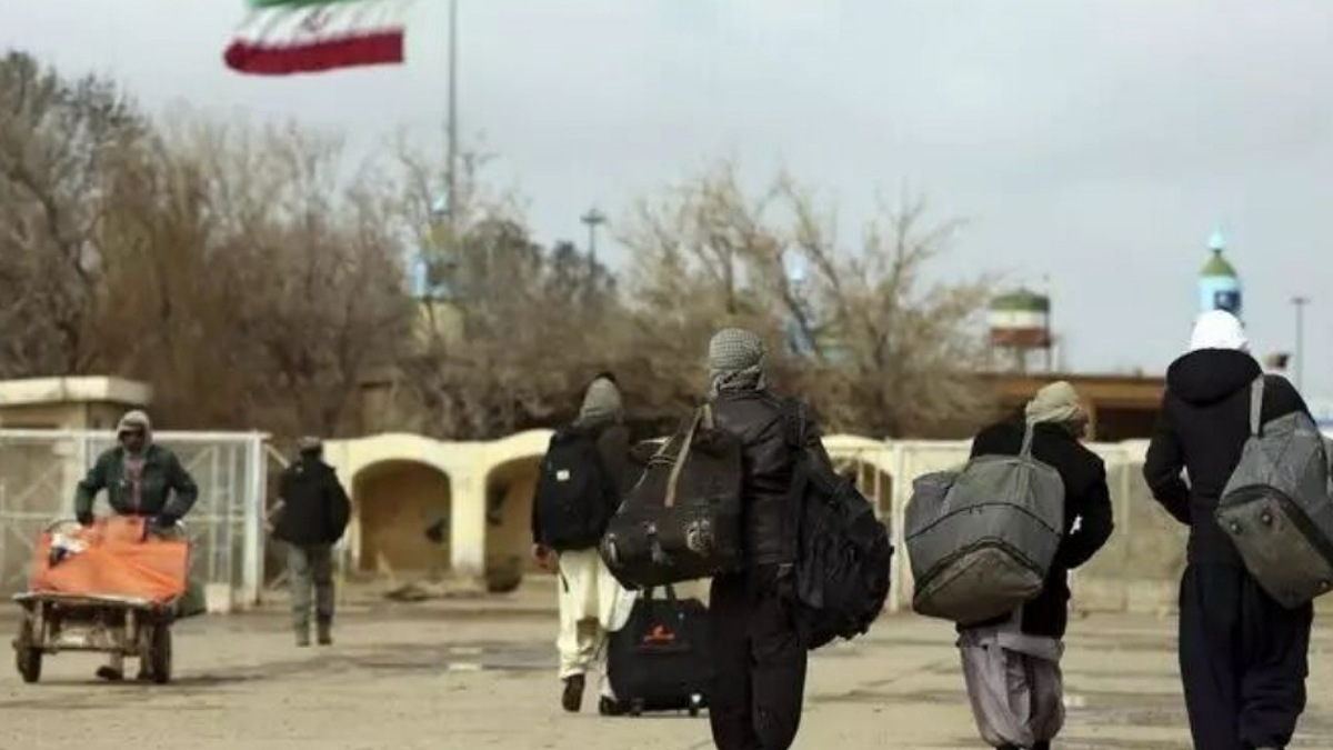 بزرگترین مهاجرت حیوانات وحشی در جهان + فیلم