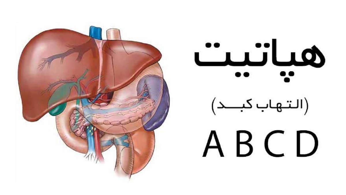 عجیب‌ترین آجیل درمانگر قند خون + فیلم
