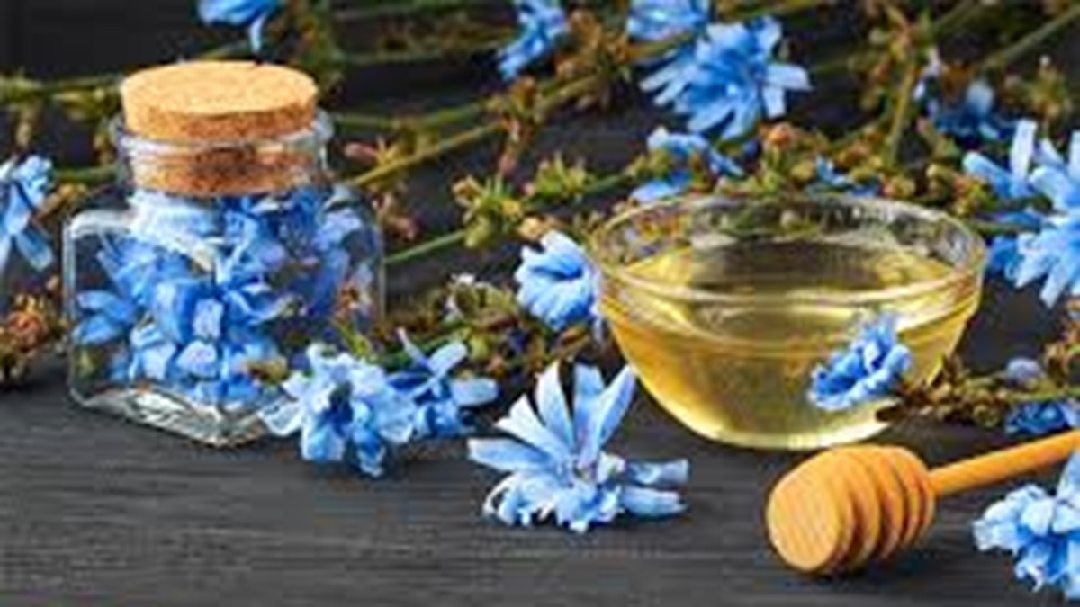 تدابیری برای فصل پاییز از دیدگاه طب ایرانی + فیلم