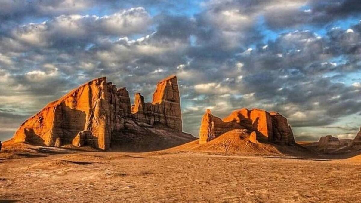 افسانه‌های گفته شده درباره درخت مکرزن + فیلم