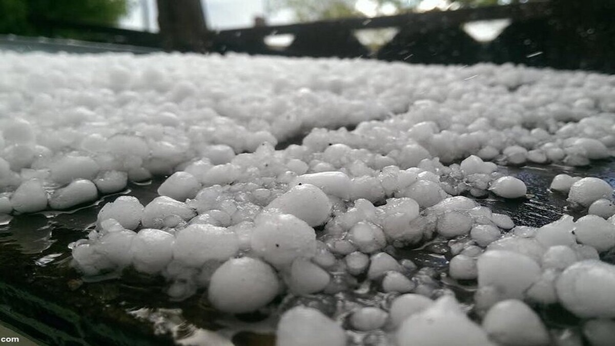میزبانی مهاباد از گردشگران تابستانی + فیلم