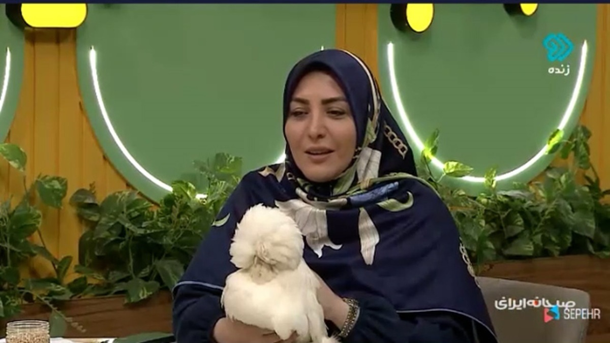 مشکل کمبود مرغ به زودی حل می‌شود + فیلم