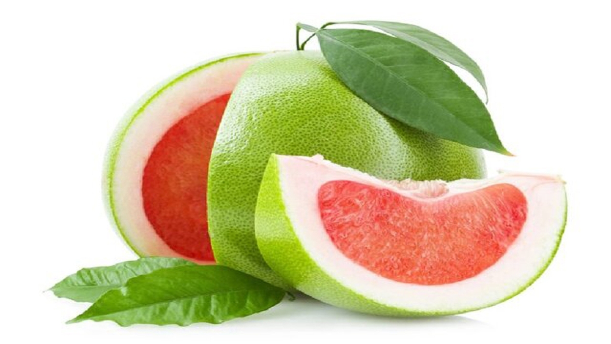 نصب ۲۰ پنل خورشیدی در خراسان جنوبی + فیلم