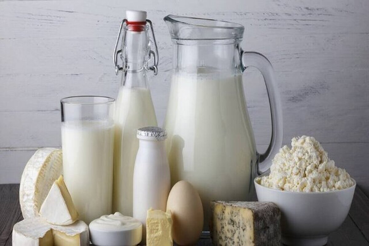 شیر گاو بهتر است یا شیر بز یا شیر گوسفند؟ + فیلم
