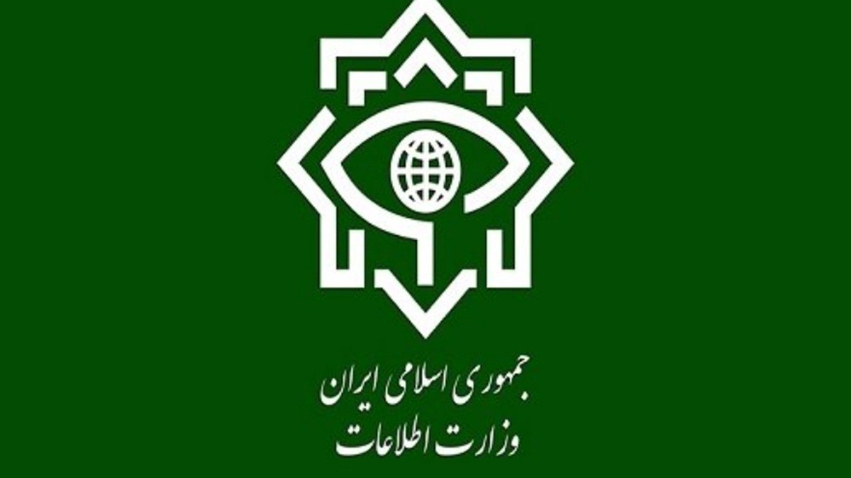 ردپای سود در باک‌های قاچاق شده + فیلم