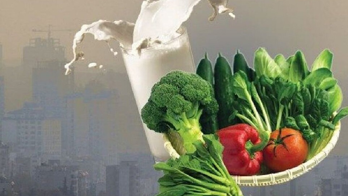 تغذیه سالم و آداب غذا خوردن چقدر اهمیت دارد؟ + فیلم