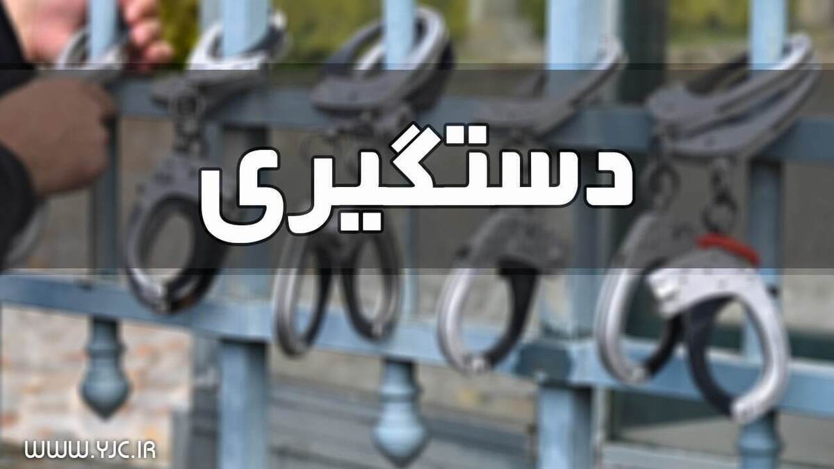 کاهش ۴۰ درصدی جرائم خشن در پایتخت + فیلم