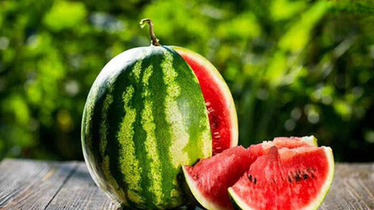 مازاد تولید قیمت هندوانه را در ترکیه شکست+ فیلم