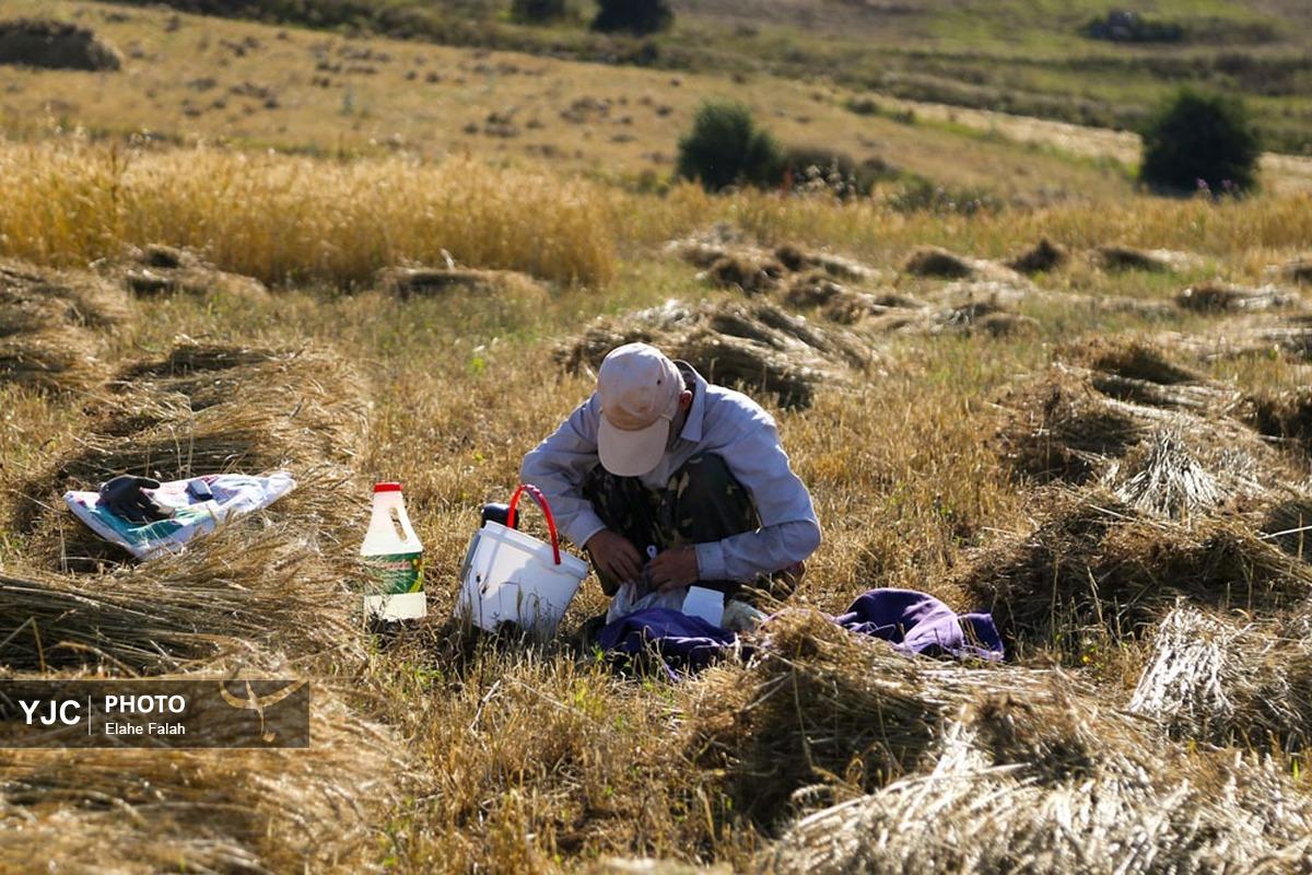 کوچک‌ترین دبستان گیلان؛ سه کودک و رویای بزرگ تحصیل