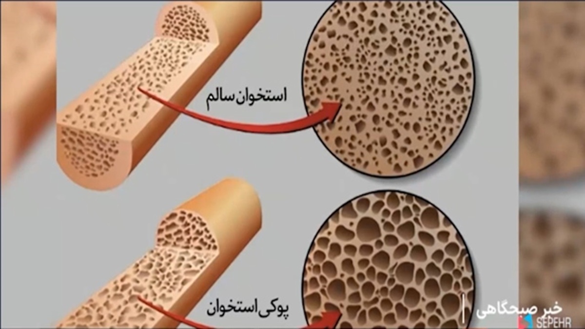 تولید دستگاه تثبیت کننده‌های ولتاژ برق + فیلم