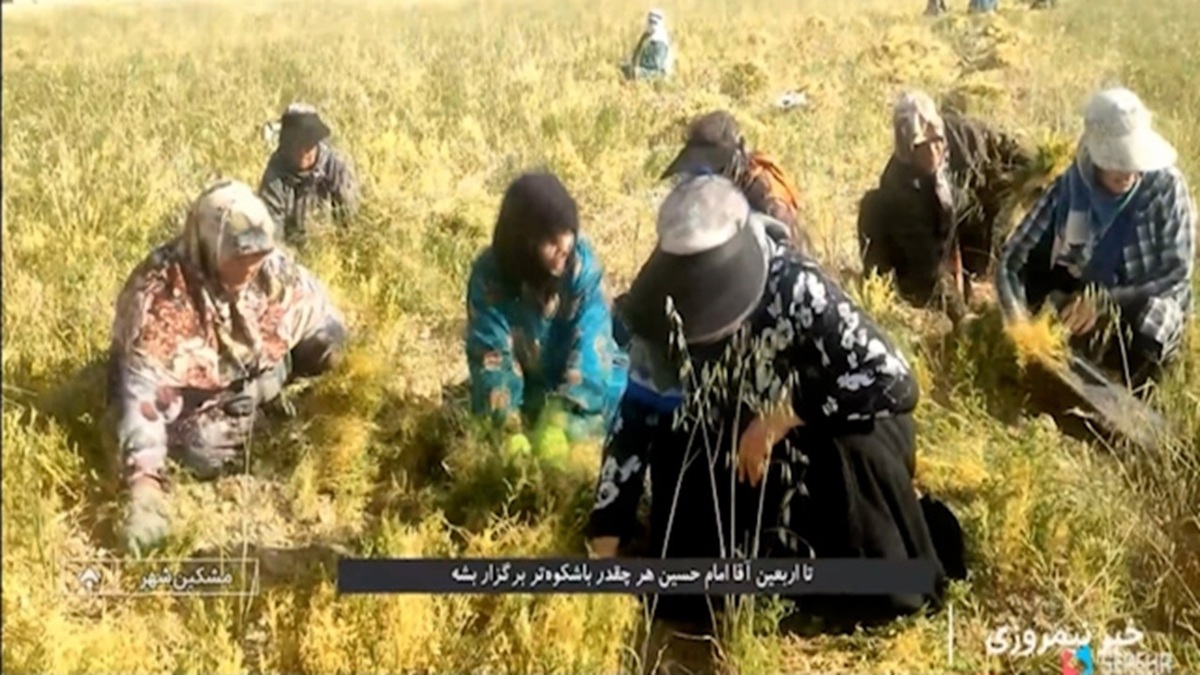 ورود کاروان انصار الحسین به شهر اهواز + فیلم