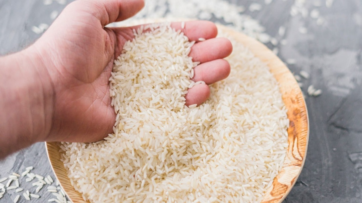 تحقق طرح جهش تولید برنج در شالیزارها + فیلم