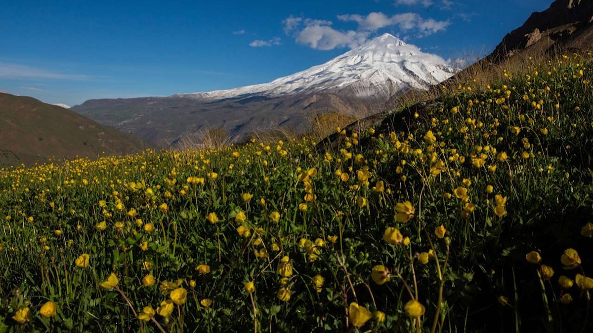 فوران آتشفشان ریکیانس در ایسلند برای دوازدهمین بار طی چهار سال +  فیلم